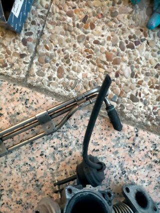 Válvula EGR y Pierburg Ibiza/León