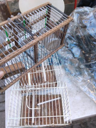Jaula para pájaros de madera y metal