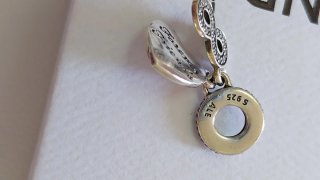 Charm Pandora
