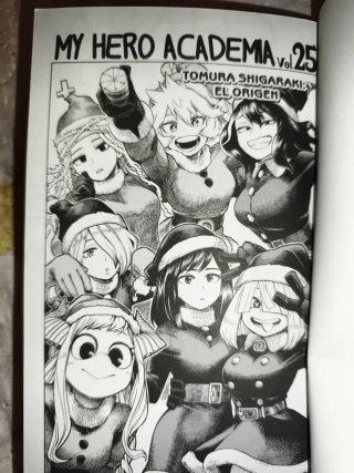 My Hero Academia v.25