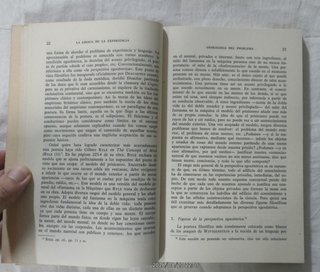 La lógica de la experiencia Wittgenstein y el p...