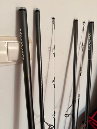 Cañas Daiwa Tournament Z35 Competición
