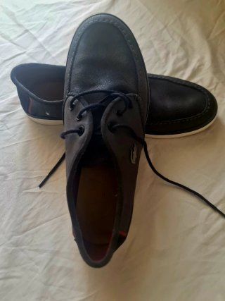 Zapatillas Lacoste Azul/Gris