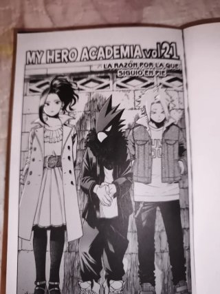 My Hero Academia v.21