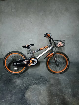 Bicicleta Infantil Airel Q5 Sport 20