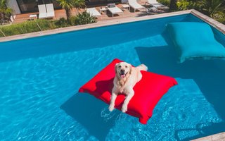 Puff Piscina Rojo