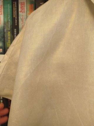 Camisa CAROLL beige