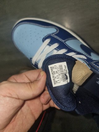 Nike SB Dunk Low The Predatory Bird