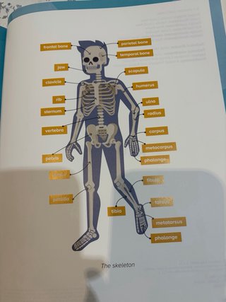 Cuadernos visuales 5 de primaria Santillana