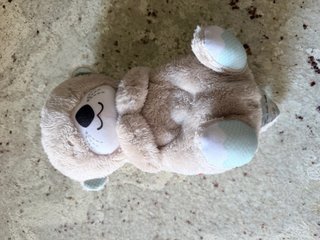 Nutria Fisher-Price peluche