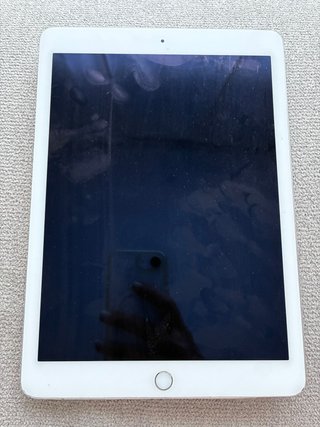 iPad Air 2 A1567 Wi-Fi Plata