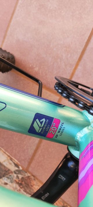 Bicicleta Colouer 20 pulgadas Turquesa Claro.