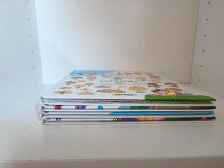 Lote de 4 Cuentos clásicos con pictogramas