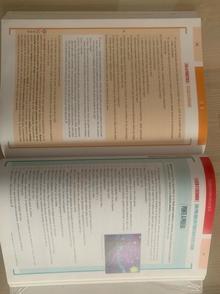 Lengua Castellana y Literatura II 2º Bachillerato