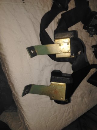 Cinturones Renault 5 (2 unidades)