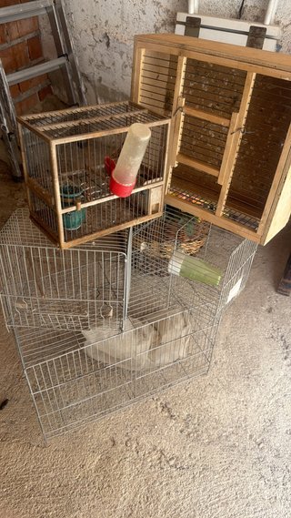 Jaulas para pájaros