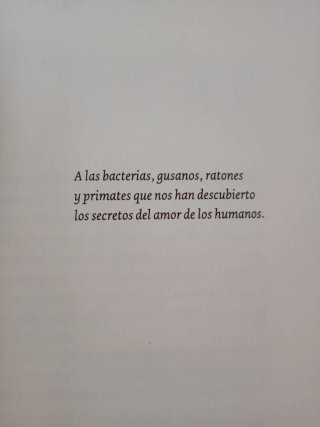 El viaje al amor