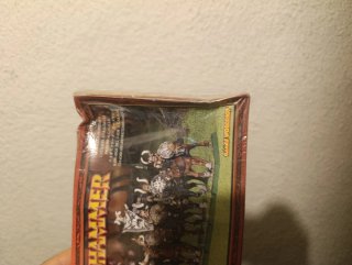 Warhammer Marauder Horsemen Caja