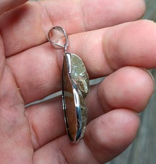 Colgante Ammonite Plata
