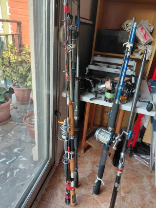 Cañas de pescar y carretes
