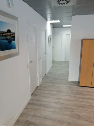 Carpintero montaje de puertas
