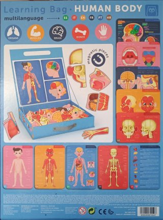 Puzzle Cuerpo Humano Magnético 100 Piezas
