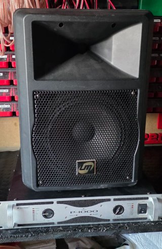 Altavoz 10" + Agudo. 300w Etapa Omnitronic P-1000