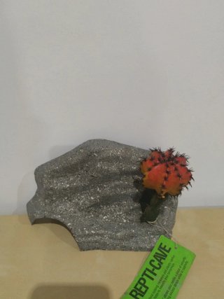 Accesorio Reptil-Cueva Cactus