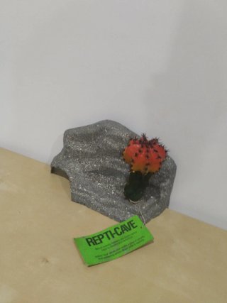 Accesorio Reptil-Cueva Cactus