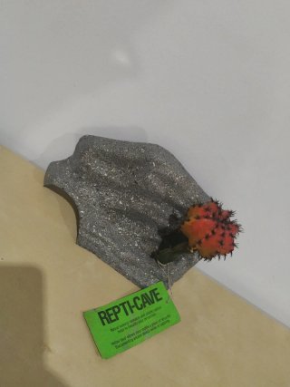 Accesorio Reptil-Cueva Cactus