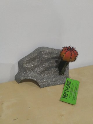 Accesorio Reptil-Cueva Cactus