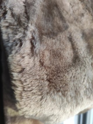Chaquetón de moutón
