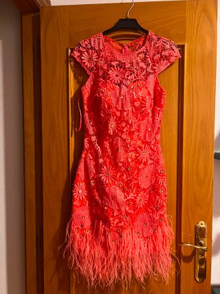 Vestido coral con plumas y pedrería