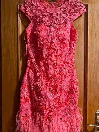 Vestido coral con plumas y pedrería