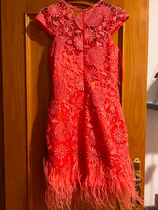 Vestido coral con plumas y pedrería