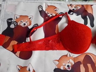 Reggiseno rosso tg6 italiana + estensore