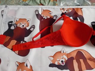 Reggiseno rosso tg6 italiana + estensore