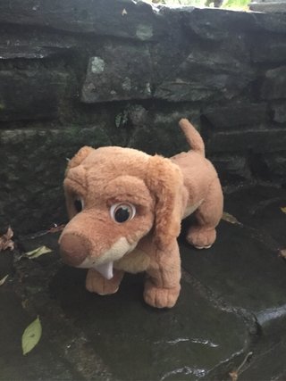 Cagnolino peluche marrone