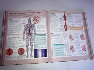 El cuerpo humano