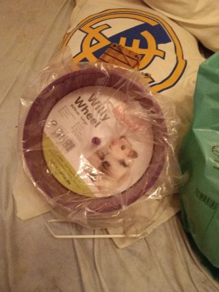 Artículos para hamster, junto o por separado
