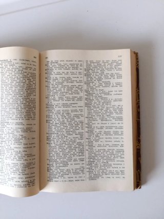 Diccionario Latino Español