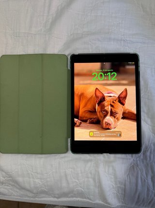iPad  128GB Gris + Funda Verde