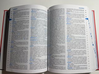 Diccionario Escolar de la Lengua Española