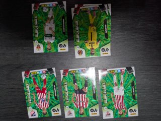 Cromos Adrenalyn XL 25-26