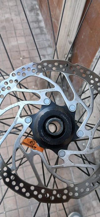 Llantas MTB 29 OC ORBEA con disco