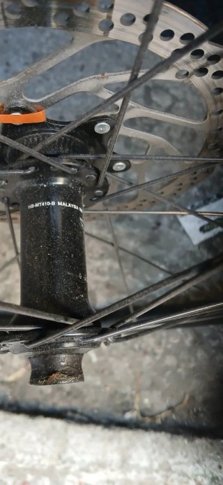 Llantas MTB 29 OC ORBEA con disco