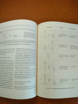 La terapia del yoga