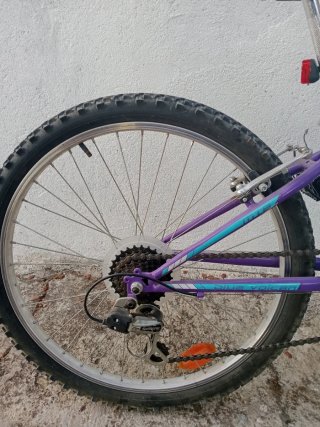 Bicicleta Montaña 24 Avigo Azul