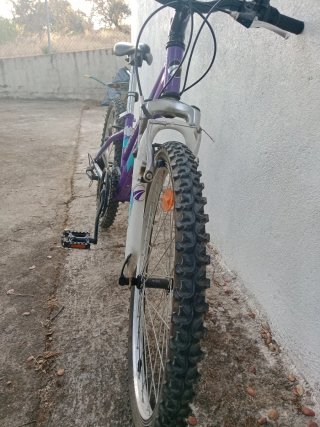 Bicicleta Montaña 24 Avigo Azul