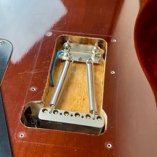 Fender Select Telecaster HH Blackwood 2013